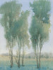 Tree Grove II Poster Print - Tim OToole