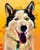 Pop Dog XIII Poster Print - Kim Curinga