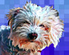 Pop Dog V Poster Print - Kim Curinga