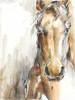 Gift Horse I Poster Print - Ethan Harper
