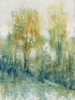 Tree Glow II Poster Print - Tim OToole