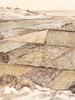 Arable Land I Poster Print - Grace Popp