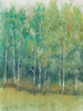 Woodland Edge I Poster Print - Tim OToole