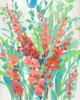 Tropical Summer Blooms II Poster Print - Tim OToole