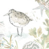 Seaside Sandpipers IV Poster Print - June Erica Vess