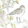 Seaside Sandpipers I Poster Print - June Erica Vess