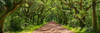 Country Road Panorama IV Poster Print - James McLoughlin