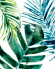 Tropical Leaf Medley I Poster Print - June Erica Vess