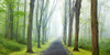 Country Road Photo VIII Poster Print - James McLoughlin