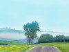 Farmscape Photo VII Poster Print - James McLoughlin