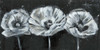 Custom White Trio on Black II Poster Print - Jennifer Goldberger