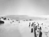 Black and White Water III Poster Print - James McLoughlin
