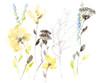 Wild Flowers and Contour II Poster Print - Jennifer Goldberger