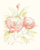 Watercolor Floral Variety II Poster Print - Ethan Harper