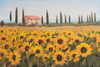 Tuscan Memories I Poster Print - Sandra Iafrate