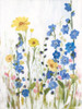 Periwinkle Wildflowers II Poster Print - Sandra Iafrate