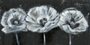 White Trio on Black II Poster Print - Jennifer Goldberger