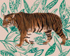 Tigre de Siberie II Poster Print - Melissa Wang
