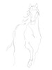 Horse Contour I Poster Print - Ethan Harper