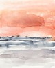 Coral Sky II Poster Print - Jennifer Goldberger