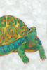 Custom Turtle Friends I Poster Print - Chariklia Zarris