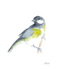 Watercolor Songbirds II Poster Print - Ethan Harper