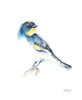 Watercolor Songbirds III Poster Print - Ethan Harper