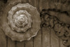 Architecture Detail in Sepia V Poster Print - Laura DeNardo