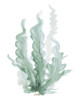 Green Algae Poster Print - Patricia Pinto