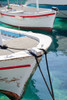 Workboats of Corfu, Greece III Poster Print - Laura DeNardo
