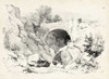 Idyllic Landscape V Poster Print - J.D. Harding