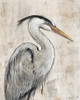 Grey Heron I Poster Print - Tim OToole