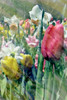 Spring at Giverny III Poster Print - Pam Ilosky