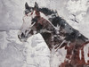 Winner Horse IV Poster Print - Irena Orlov