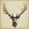 Triptych Elk Square Poster Print - Grace Popp