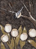 Chickadee and Tulips II Poster Print - Jade Reynolds