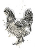 Feathered Fowl IV Poster Print - June Erica Vess