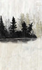 Pine Island II Poster Print - Naomi McCavitt