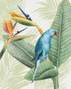 Avian Paradise III Poster Print - Grace Popp