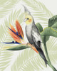 Avian Paradise I Poster Print - Grace Popp