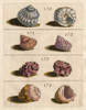 Shell Collection IV Poster Print - Unknown