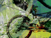 Mountain Bike Poster Print - Sisa Jasper