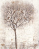 Tree of Birds II Poster Print - Tim OToole