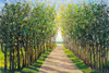 Walking Trail II Poster Print - Tim OToole
