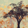 Sunshine Garden V Poster Print - Irena Orlov