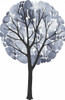 Midnight Elm II Poster Print - Grace Popp