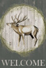 Woodland Welcome I Poster Print - Grace Popp