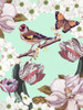 Bird Garden III Poster Print - Naomi McCavitt