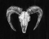 Rustic Ram Mount II Poster Print - Ethan Harper