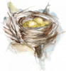 Bird Nest Study III Poster Print - Ethan Harper